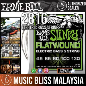 Ernie Ball 2816 5-string Regular Slinky Flatwound Electric Bass Strings (45-130)